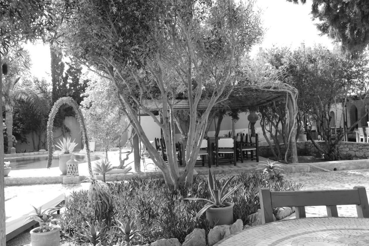 Villa Grenadine Essaouira Esterno foto